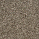 Stainaway Harvest Heathers Deluxe Carpet