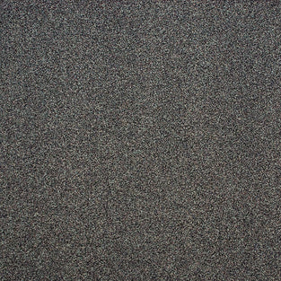 Bark 45 Stainaway Harvest Heathers Deluxe Carpet