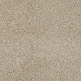 Sandlewood 72 Serano Elite Intenza Carpet