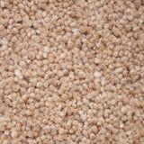 Sandpiper 50oz Home Counties Heathers Carpet by Cormar