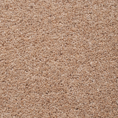 Sandpiper 50oz Home Counties Heathers Carpet by Cormar