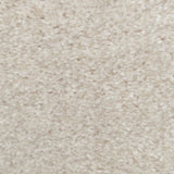 Sandstone 37 Hermes iSense Carpet