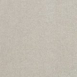 Sandstone 37 Hermes iSense Carpet