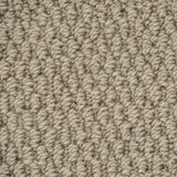 Sandy Beige Florida Loop Carpet