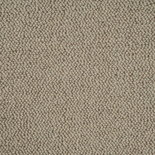 Sandy Beige Illinois Loop Carpet