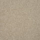 Sandy Beige Missouri Saxony Carpet