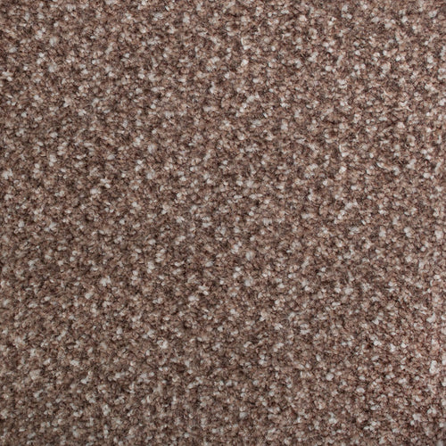 Eden 40 Stainaway Tweed Carpet