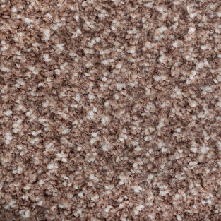 Eden 40 Stainaway Tweed Carpet