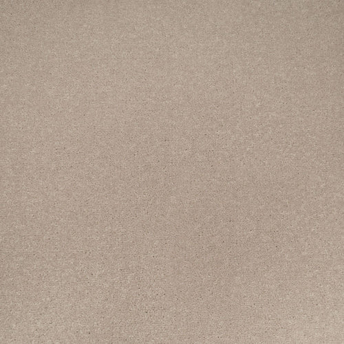 Sea Breeze Apollo Plus Carpet