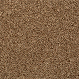 Seal Brown 875 Noble Heathers Saxony Carpet