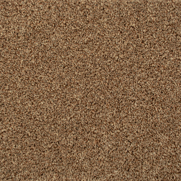 Seal Brown 875 Noble Heathers Saxony Carpet