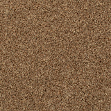 Seal Brown 875 Noble Heathers Saxony Carpet