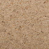 Seed Natural Berber Twist Deluxe 55oz Carpet by Cormar