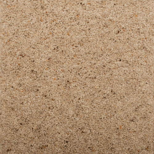 Seed Natural Berber Twist Deluxe 55oz Carpet by Cormar