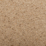 Seed Natural Berber Twist Deluxe 55oz Carpet by Cormar