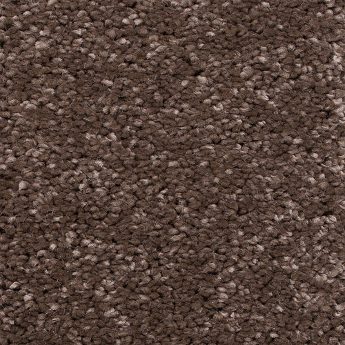 Sepia Sensation Twist Carpet by Cormar