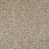 Sesame Seed 35 Temptation Carpet