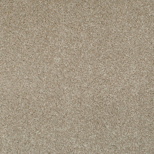 Sesame Seed 35 Temptation Carpet