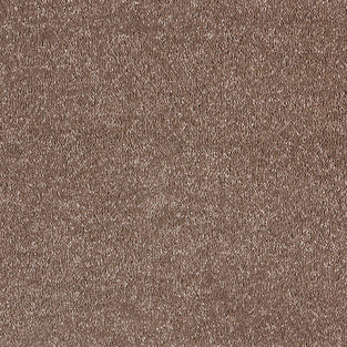 Chocolate 810 Sensit Supreme Carpet