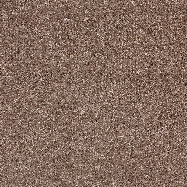 Chocolate 810 Sensit Supreme Carpet