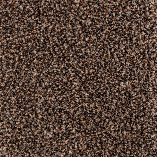 Shadow Brown 49 Inspire Saxony Carpet