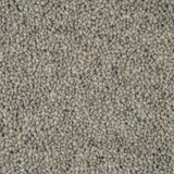 Silver Fox Woodland Heather 55oz Twist Deluxe Carpet