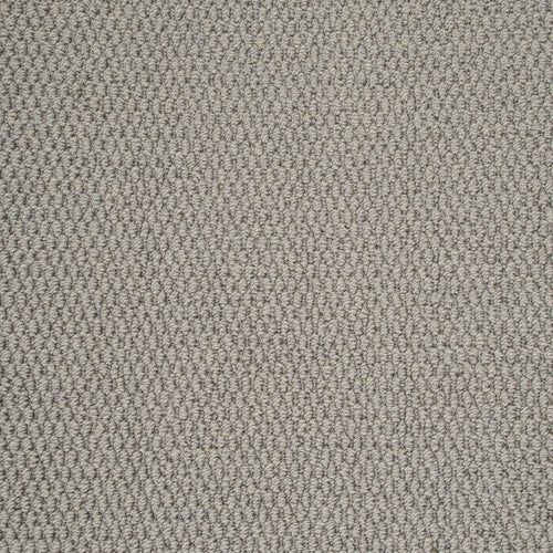 Silver Grey Florida Loop Carpet