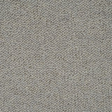 Silver Grey Illinois Loop Carpet