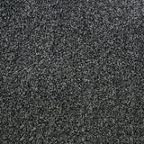 Grey Black 995 Splendid Saxony Actionback Carpet