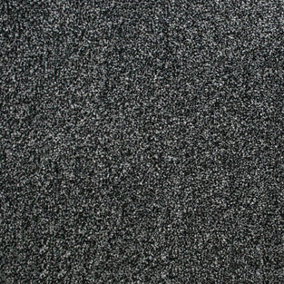 Grey Black 995 Splendid Saxony Actionback Carpet