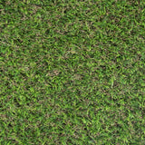 Sprucepark 25mm Artificial Grass 5m