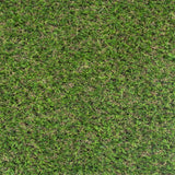 Sprucepark 25mm Artificial Grass