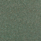 Stainfree Berber Deluxe Carpet