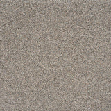 Stainaway Harvest Heathers Deluxe Carpet