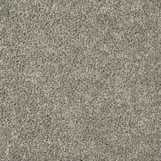 Stone Greige Missouri Saxony Carpet