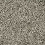 Stone Greige Missouri Saxony Carpet