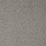 Stone Grey Illinois Loop Carpet