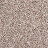 Stucco 50oz Home Counties Carpet by Cormar