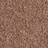 Suede 50oz Home Counties Heathers Carpet by Cormar