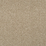 Summer Pecan 46 Tuftex Twist Actionback Carpet