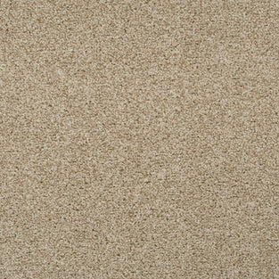 Summer Pecan 46 Tuftex Twist Actionback Carpet