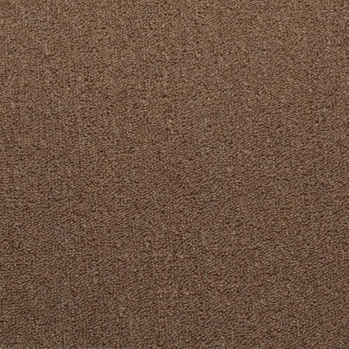 Chocolate Loop Cheap Carpet