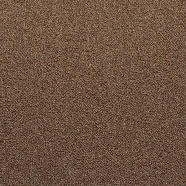 Chocolate Loop Cheap Carpet