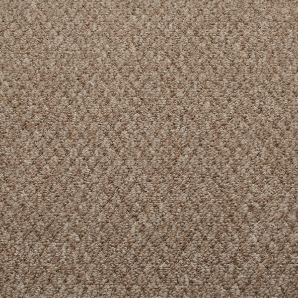 Pebble Sweet Home Action Backed Carpet