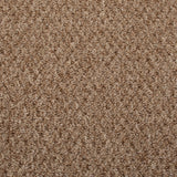 Sweet Home Action Backed Carpet