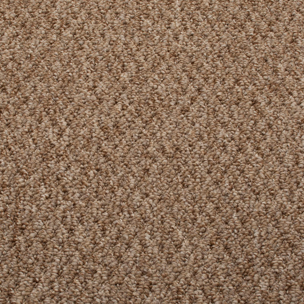 Pecan Sweet Home Action Backed Carpet