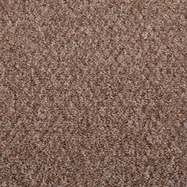 Walnut Sweet Home Action Backed Carpet