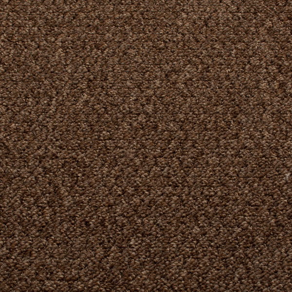 Chestnut Sweet Home Action Backed Carpet