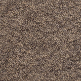 Beaver Brown Sweet Home Felt Backed Carpet