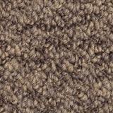 Beaver Brown Sweet Home Felt Backed Carpet